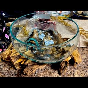 Hand blown glass bowl on wooden base